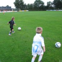 10_minipups_training